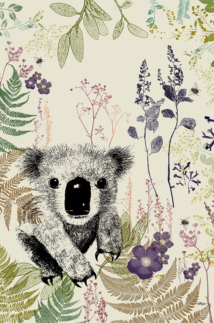 Greeting Card Kindly Koala