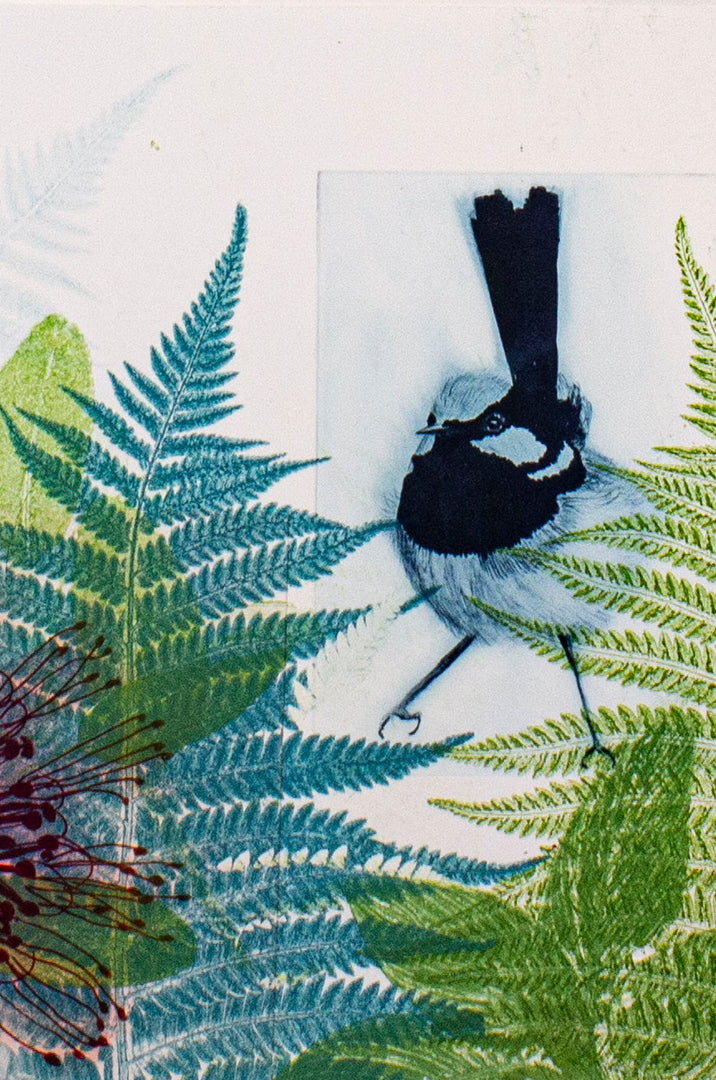 Greeting Card Banksia Stem