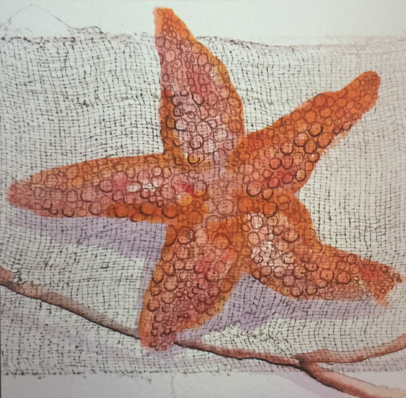 square-greeting-card-starfish