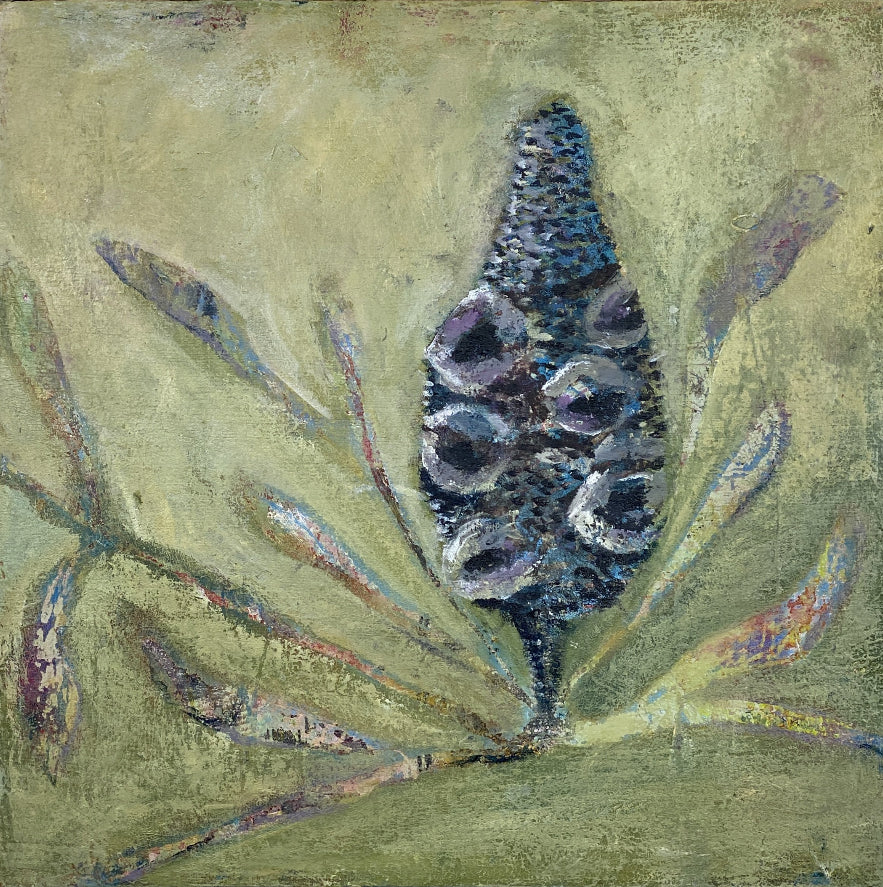 PAINTING Banksia Love in the Winter 30 x 30