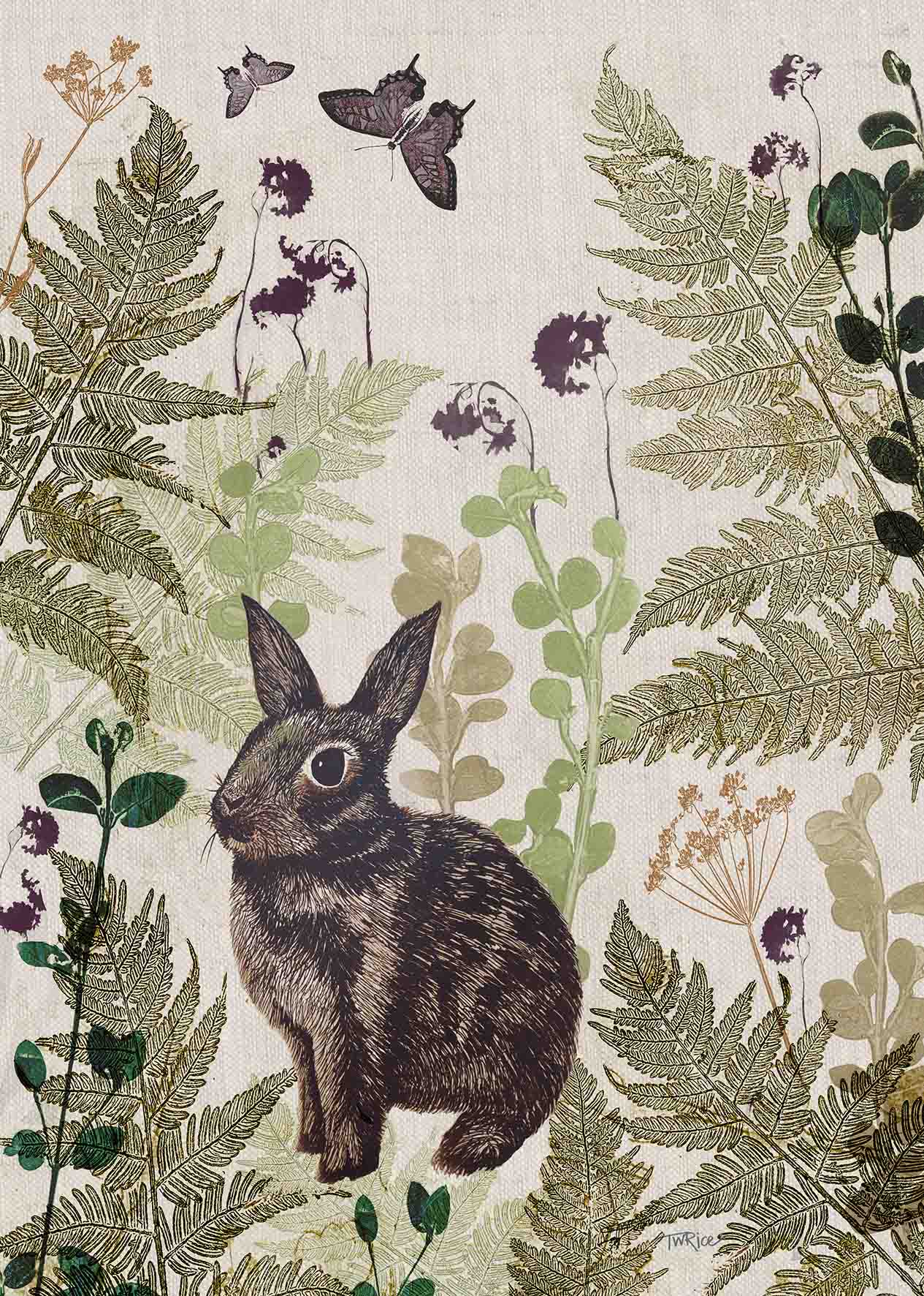 Greeting Card Enchanted Outback Bunny.
