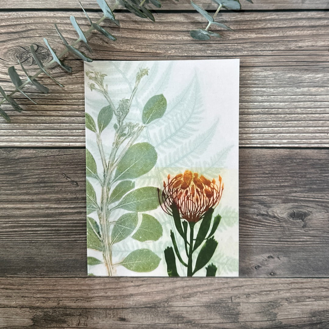 Greeting Card Pincushion Protea & Fern.