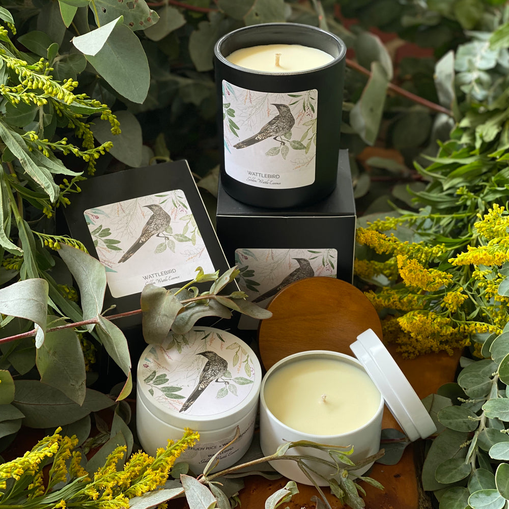 Golden Wattle with Wattlebird Design Candles.