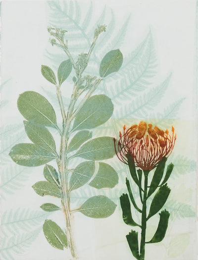 Greeting Card Pincushion Protea & Fern