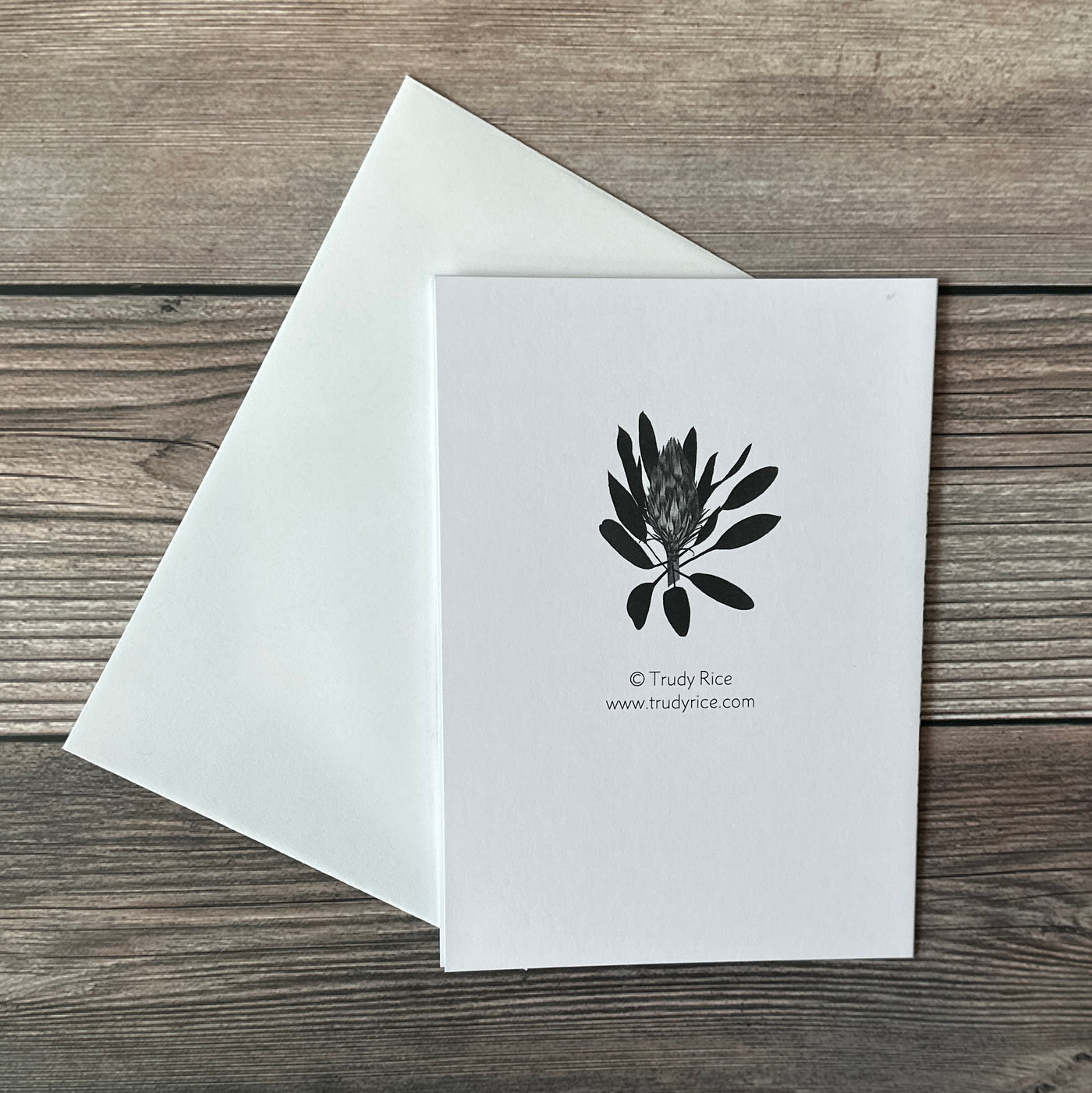 Greeting Card Banksia Stem