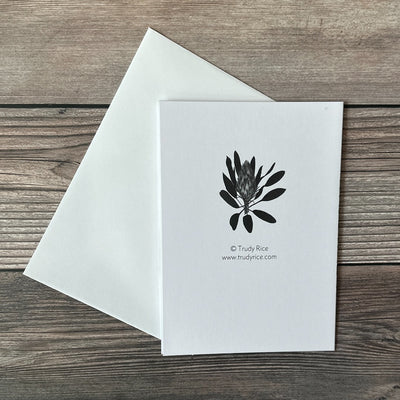 Greeting Card Pincushion Protea