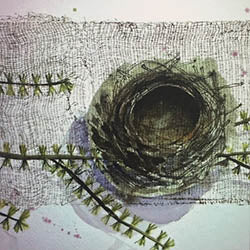 Square Greeting Card - Nest.